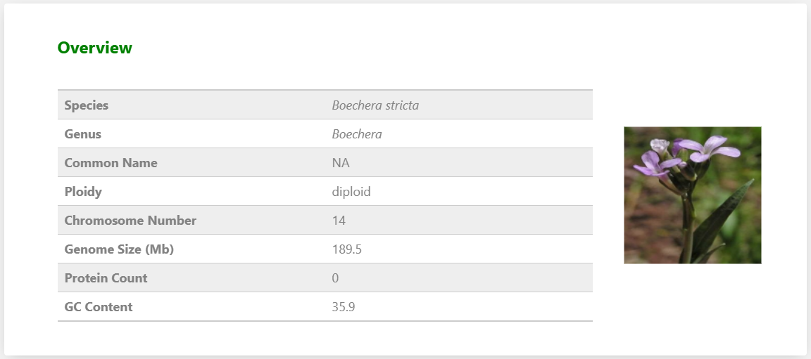 Download page screenshot
